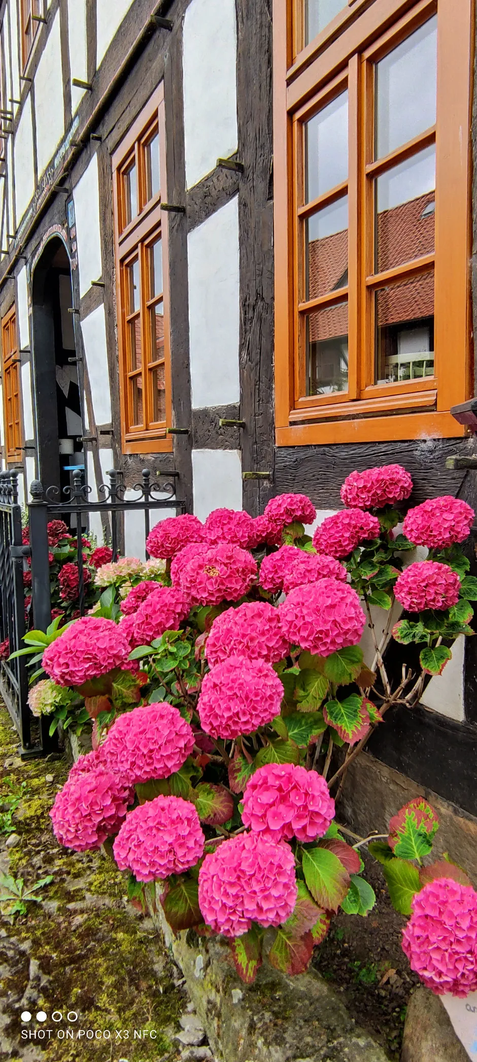 Bild von Hotel am Kirchweg Oldendorf